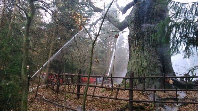 GŁOGÓW/LUBIN. Zagłębie lepsze od Chrobrego