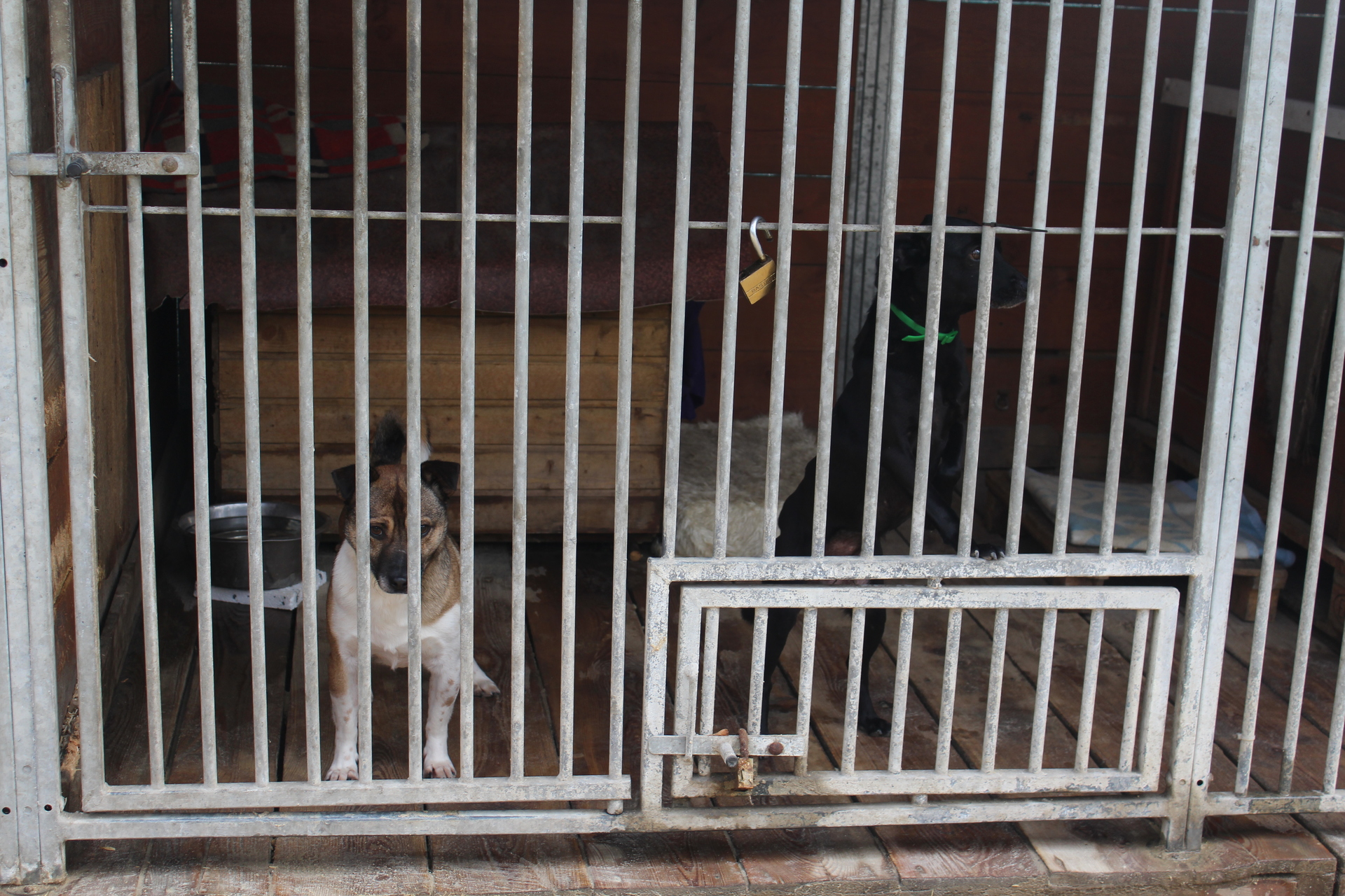 LUBIN. Oddali hołd poległym