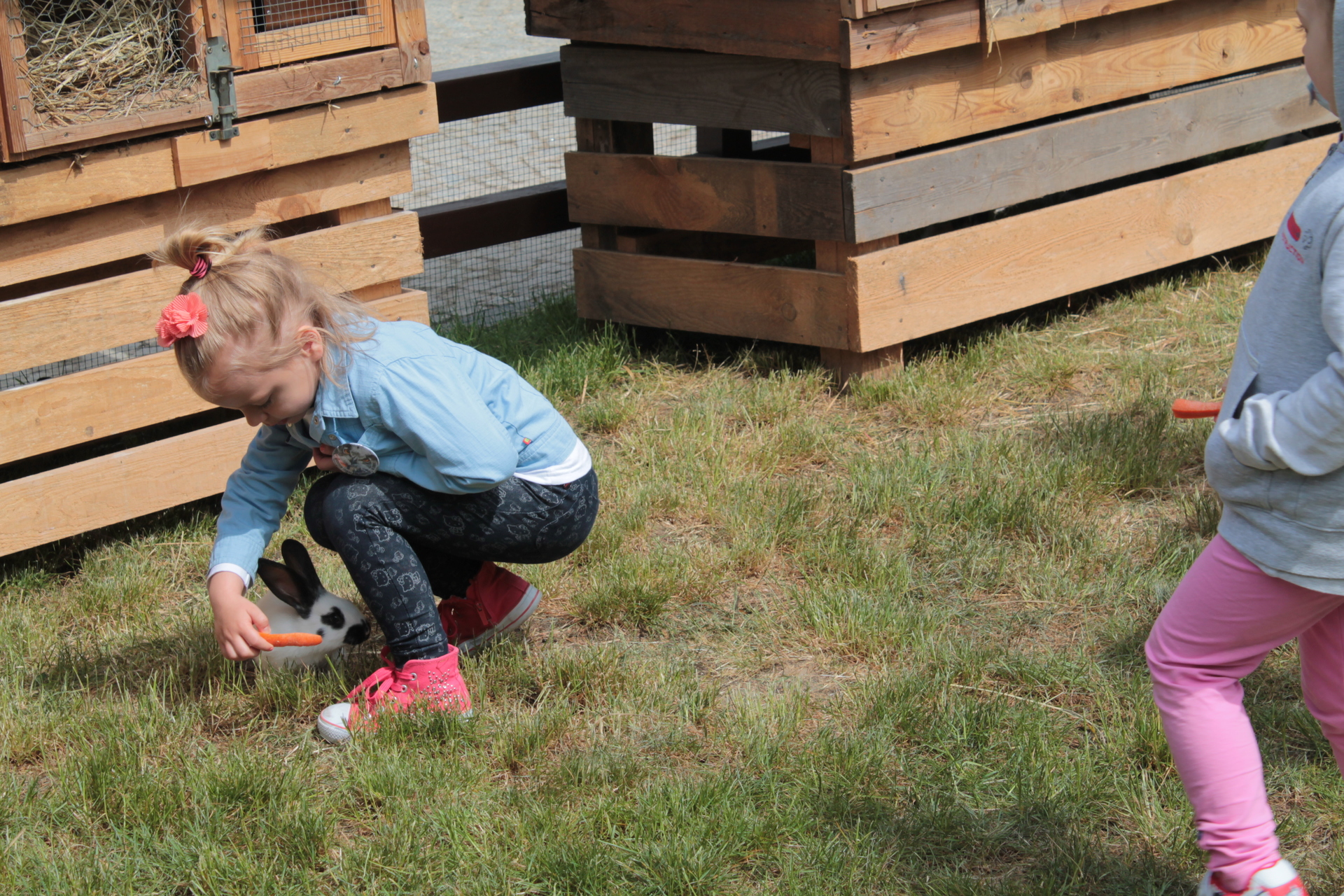 LUBIN. Świętują urodziny Parku Wrocławskiego