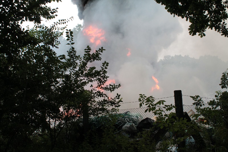 POLKOWICE. Z ćwiczeń do pożaru lasu za kopalnią Rudna-Zachodnia