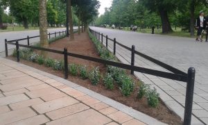 20150618_190250
