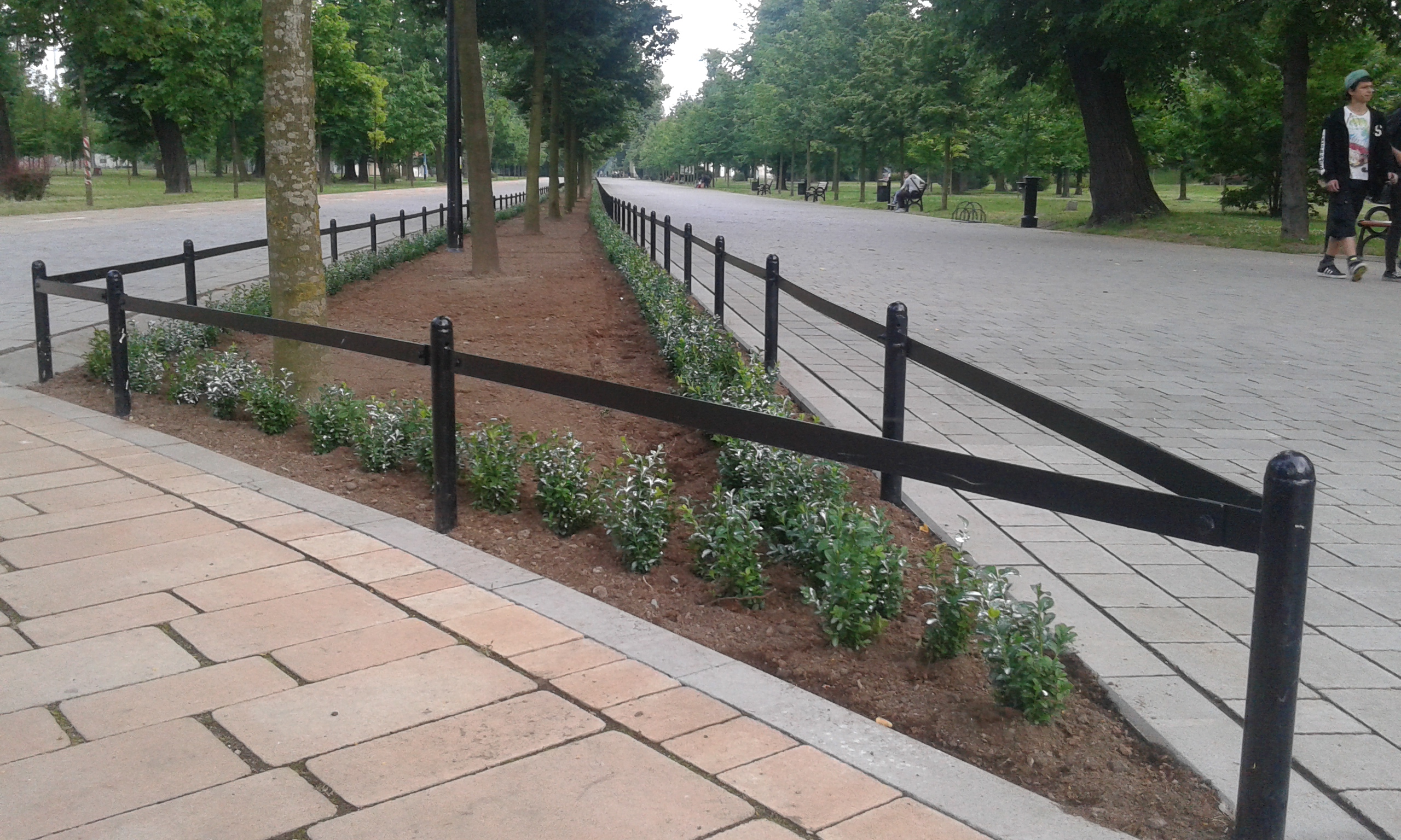 LEGNICA. Wstydu nie mają, biorą jak swoje