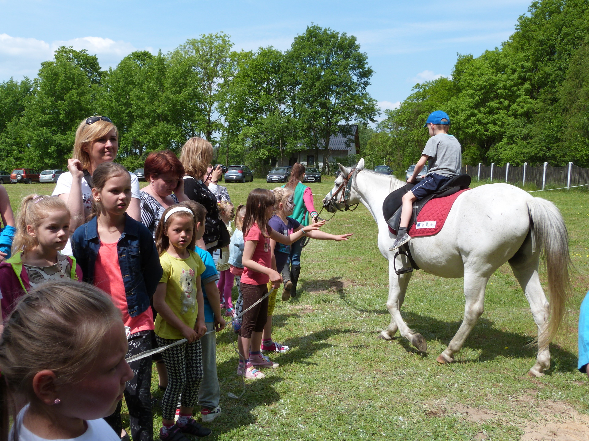 POWIAT POLKOWICKI. Rodzinny piknik w Dobromilu