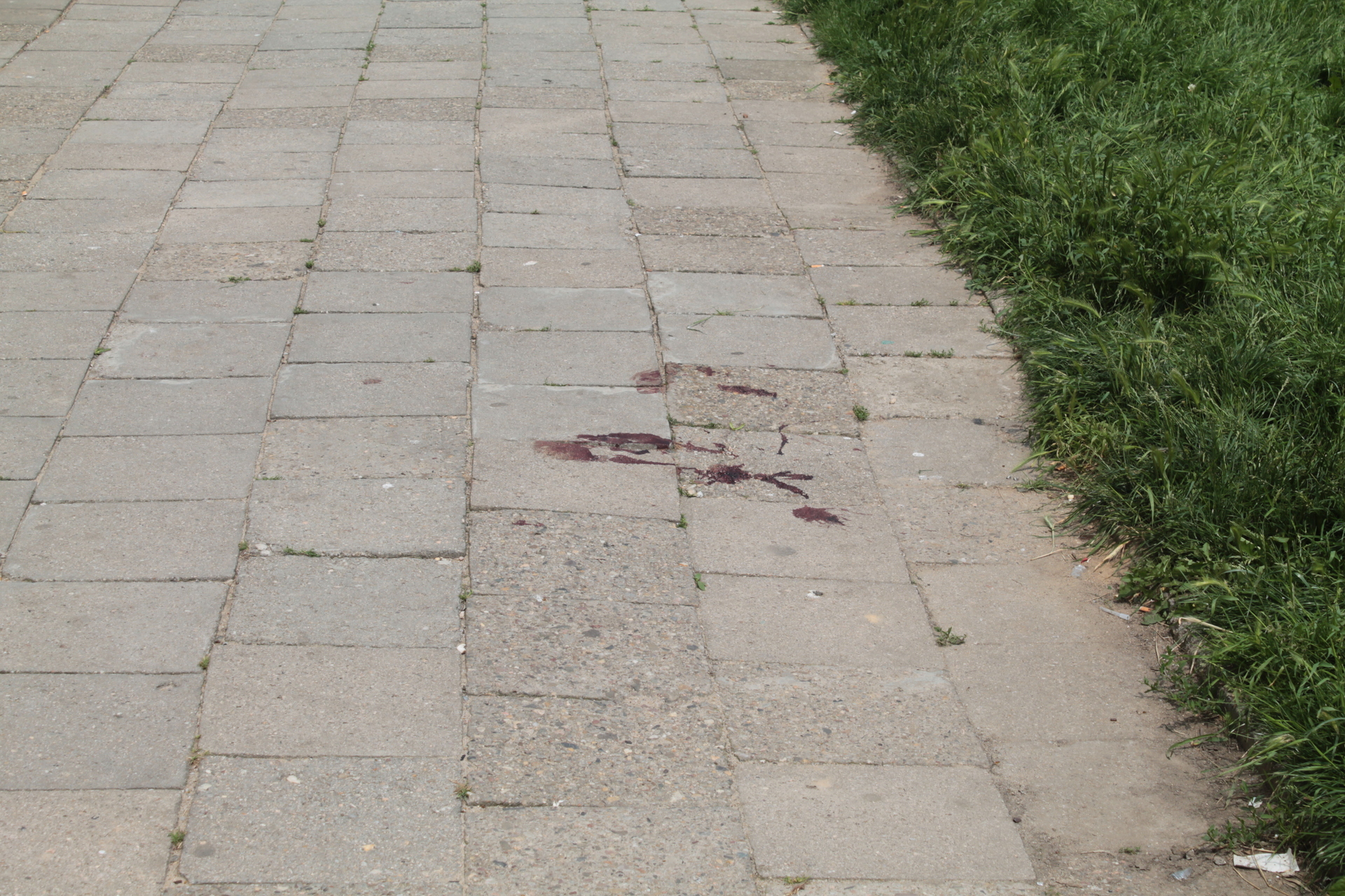 LUBIN. Wyskoczył z siódmego piętra? (AKTUALIZACJA, WIDEO)