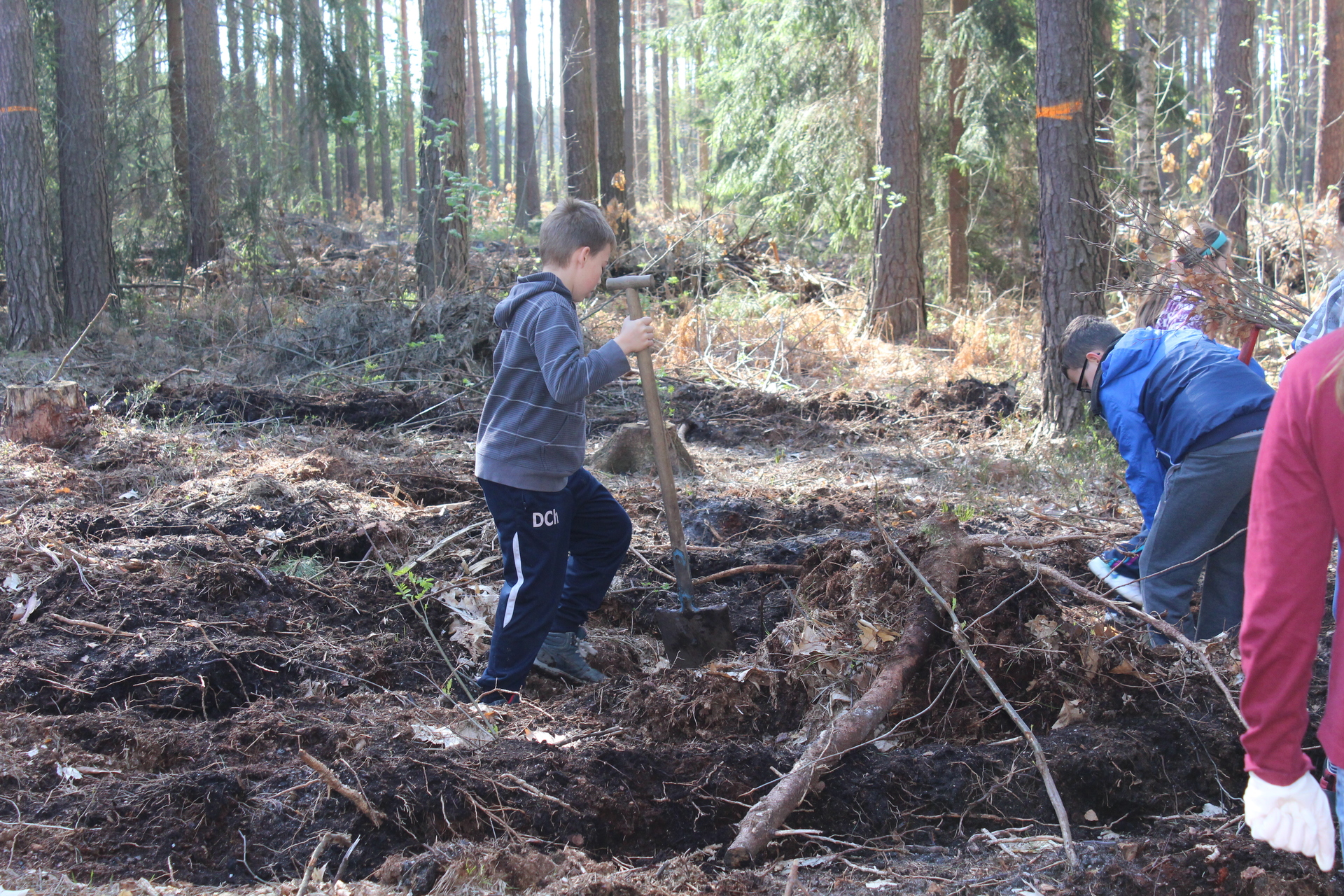 BOLKÓW. Pomogli kobiecie wydostać się z lasu