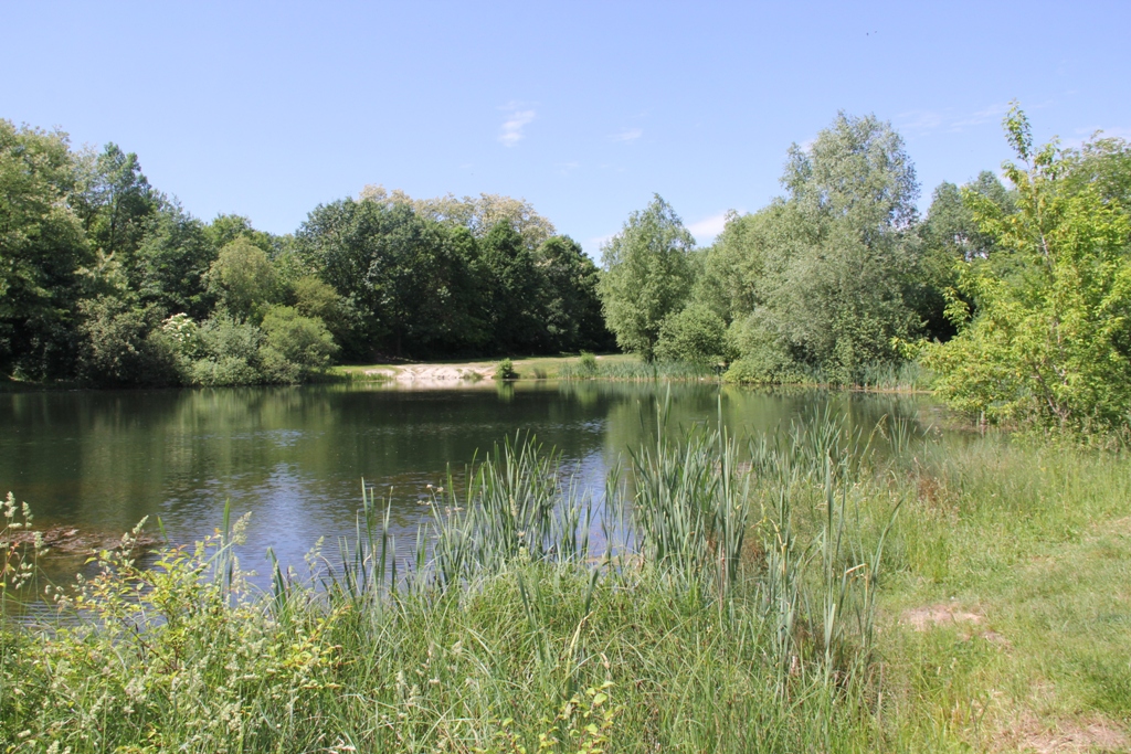 LEGNICA. Nowe miejsca piknikowe