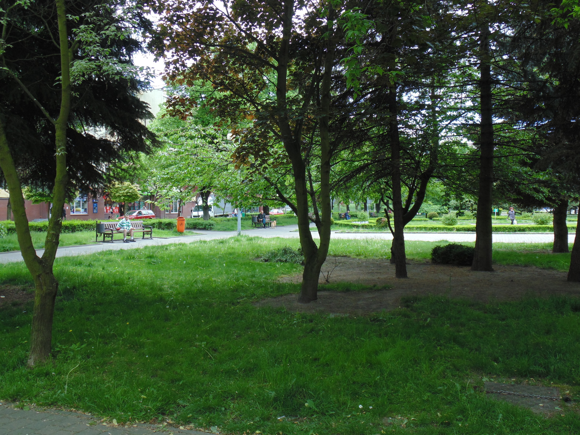 GŁOGÓW. Letni konkurs dla amatorów fotografii