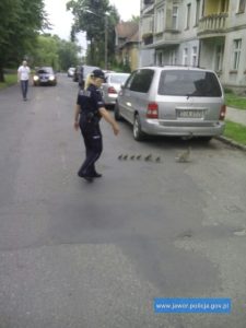 kaczki policja Jawor2