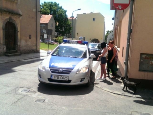 JAWOR. Zamknęła psa w nagrzanym samochodzie