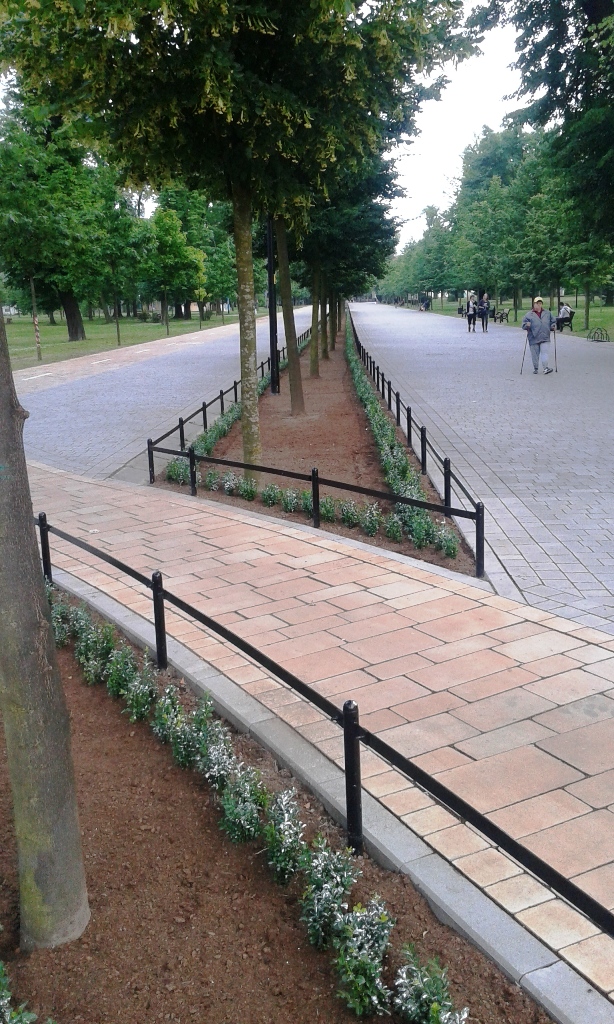 LEGNICA. Ładne kwiatki