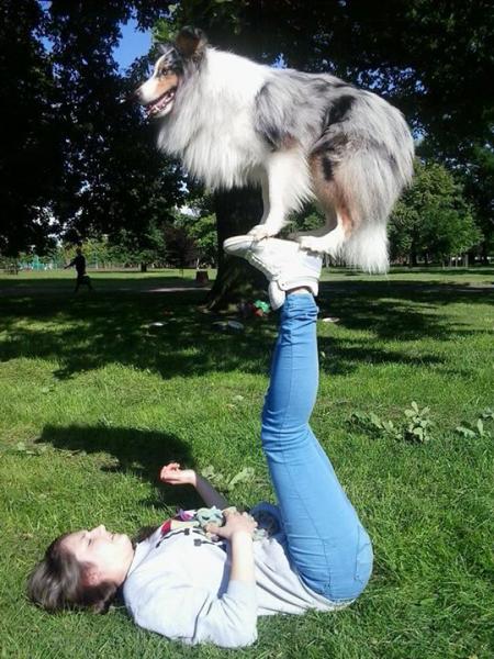 LUBIN. Psie piękności z Polski i zagranicy