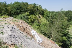 IMG_0623