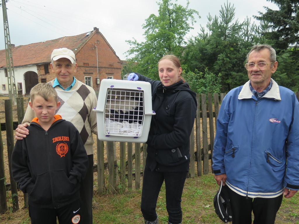 GMINA LUBIN. Porzucony bocian znalazł nowy dom