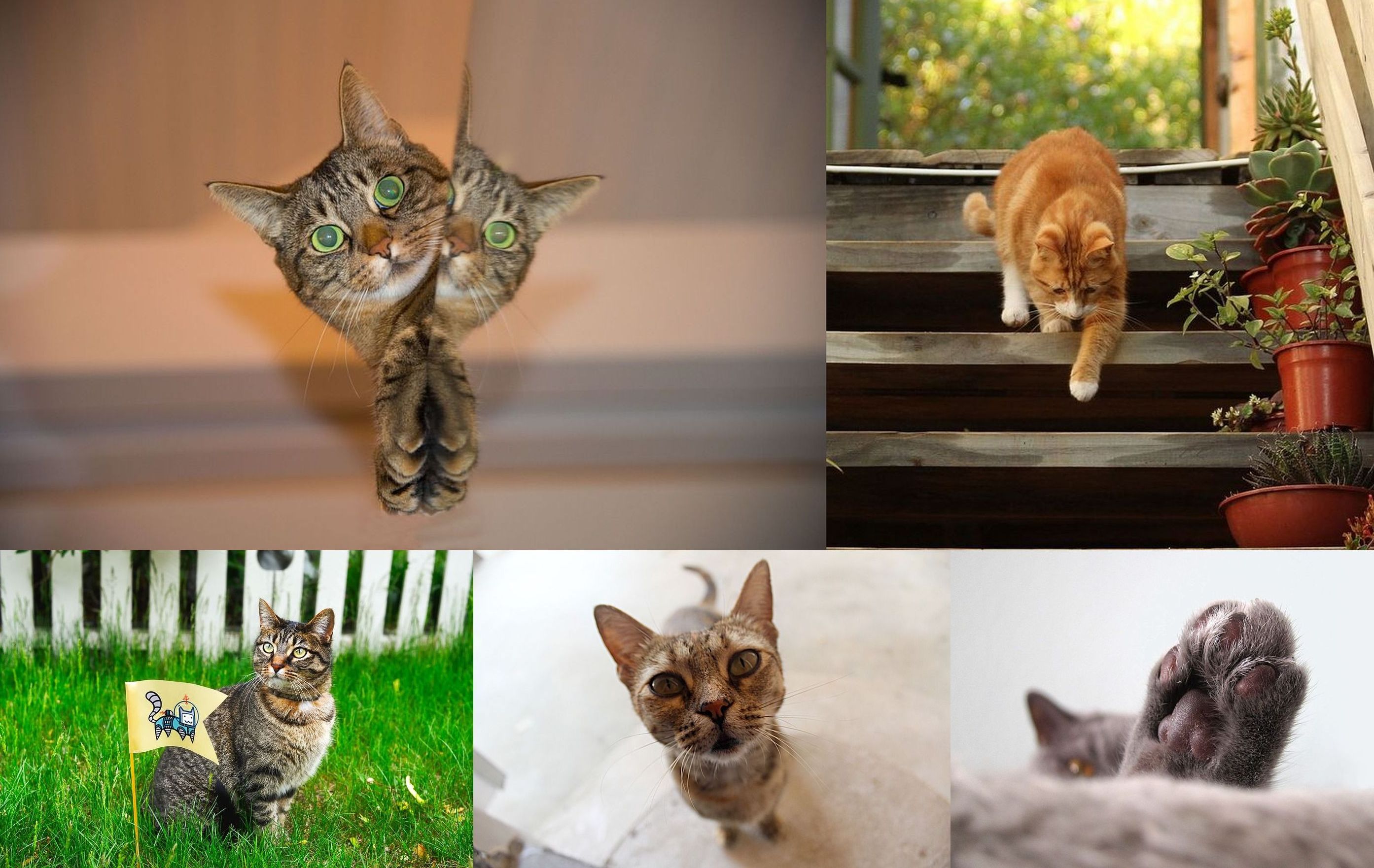 LUBIN. Chcieli utopić je w smole?