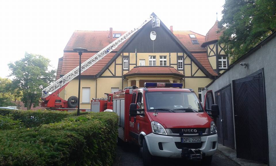 PRZEMKÓW. Strażacy walczą z osami i szerszeniami