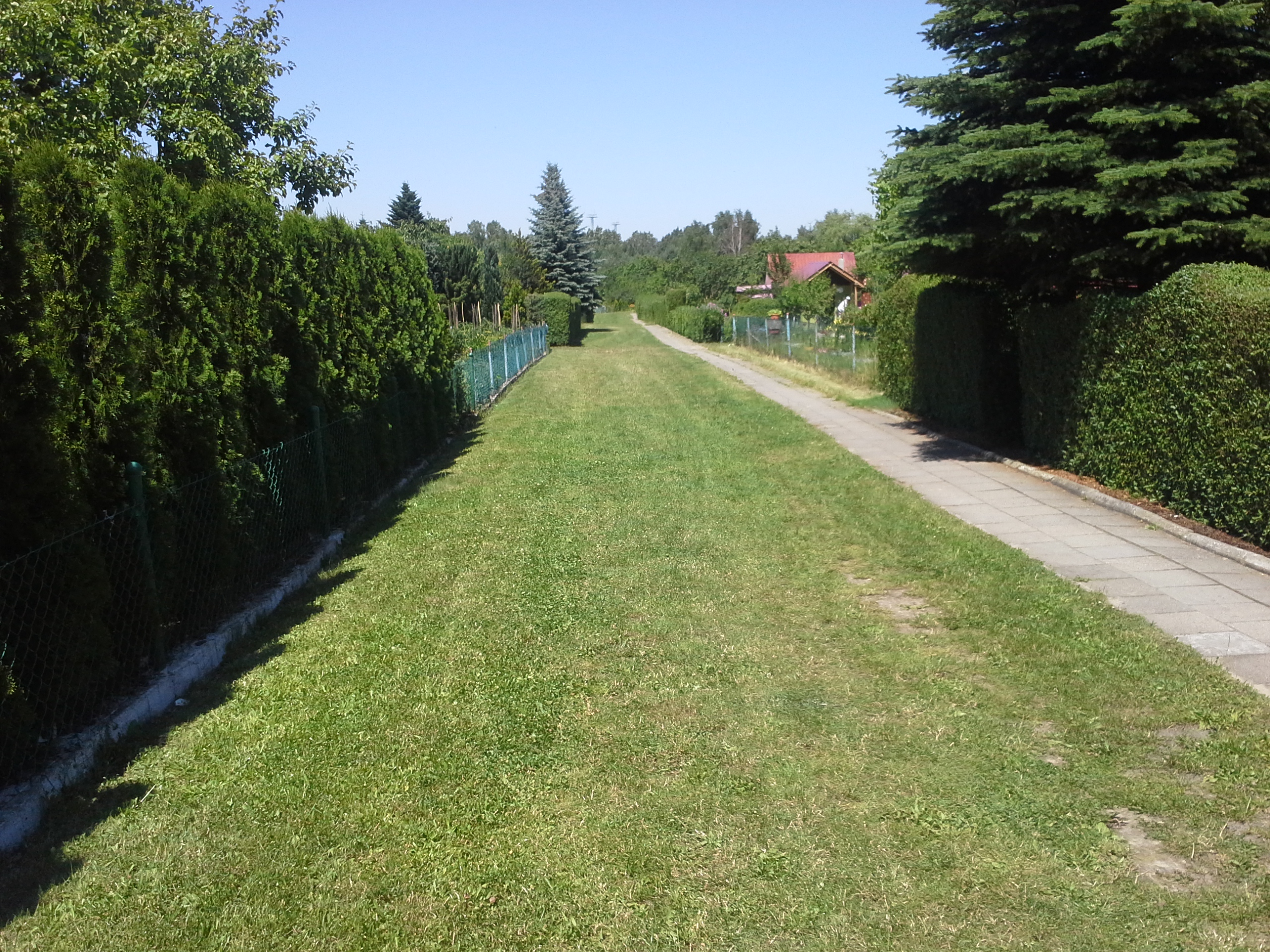 POLKOWICE. „Marysieńka” najładniejsza w powiecie