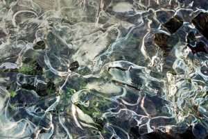 pietraszko_czeslaw07