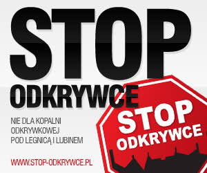 LEGNICA. Odkrywki nie będzie? (WIDEO)