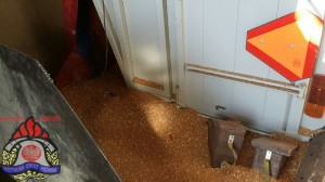 20150731_175203_resized