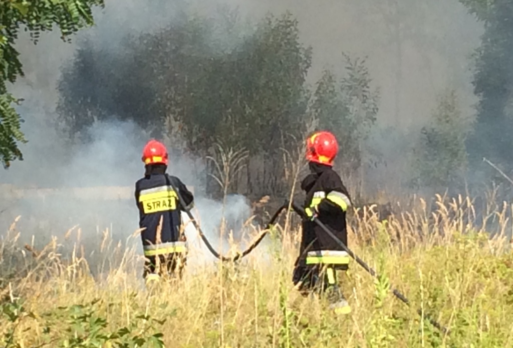 LEGNICA. Piromani nie odpuszczają