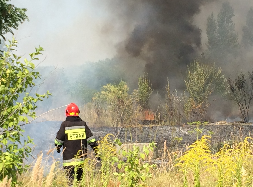 LEGNICA. W mieście grasuje piroman (FOTO, WIDEO)