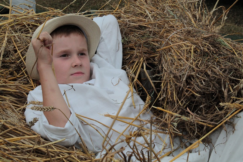 ŚCINAWA. Wielkie święto plonów (FOTO, WIDEO)