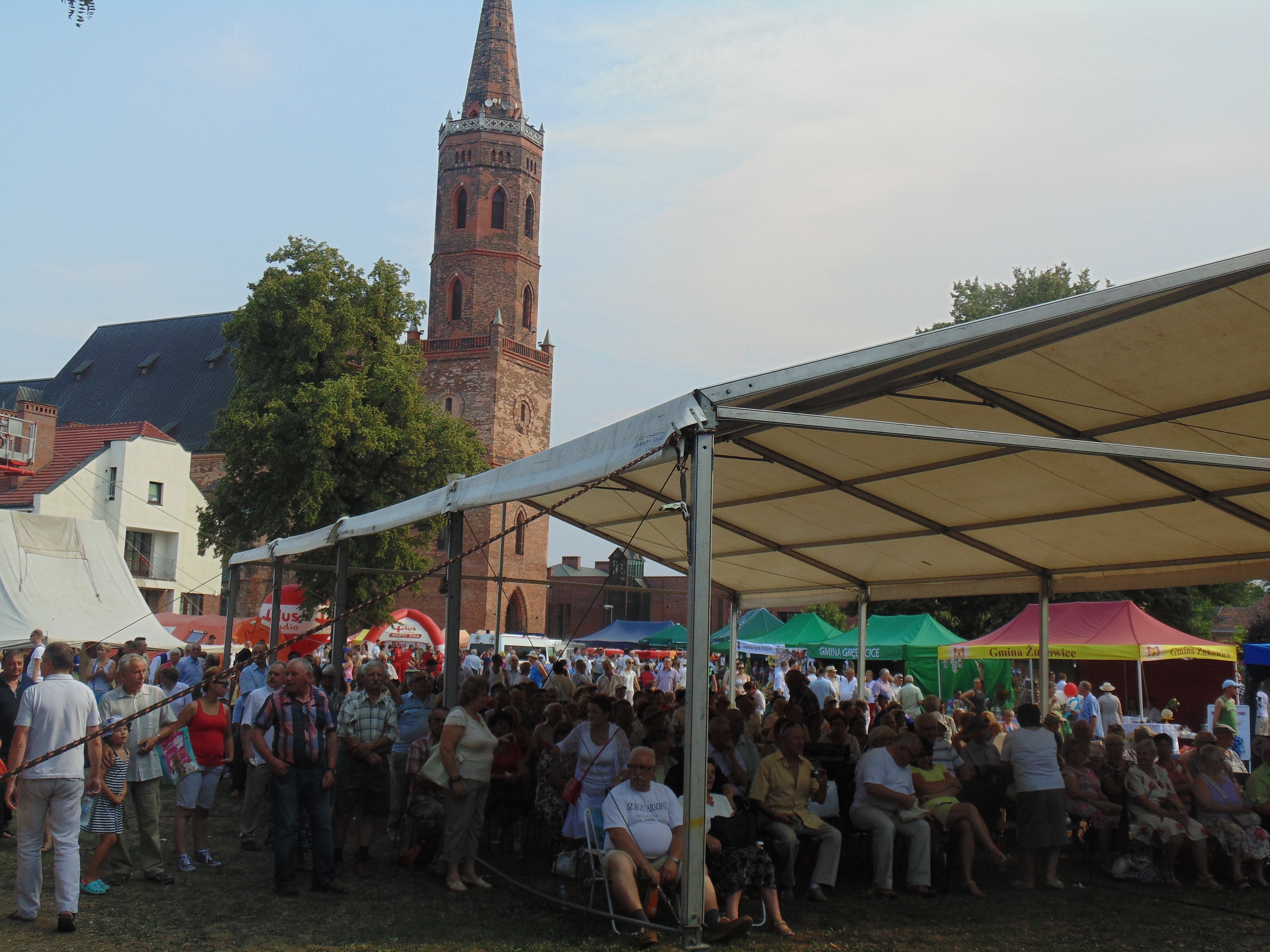 GŁOGÓW. „W cieniu Kolegiaty” (FOTO)