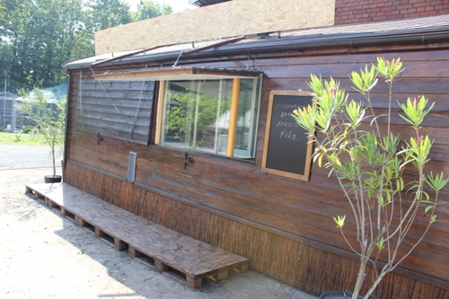 LEGNICA. Na kawę do parkowej palmiarni