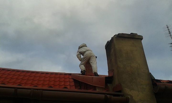 PRZEMKÓW. Szerszenie były nawet w kominie