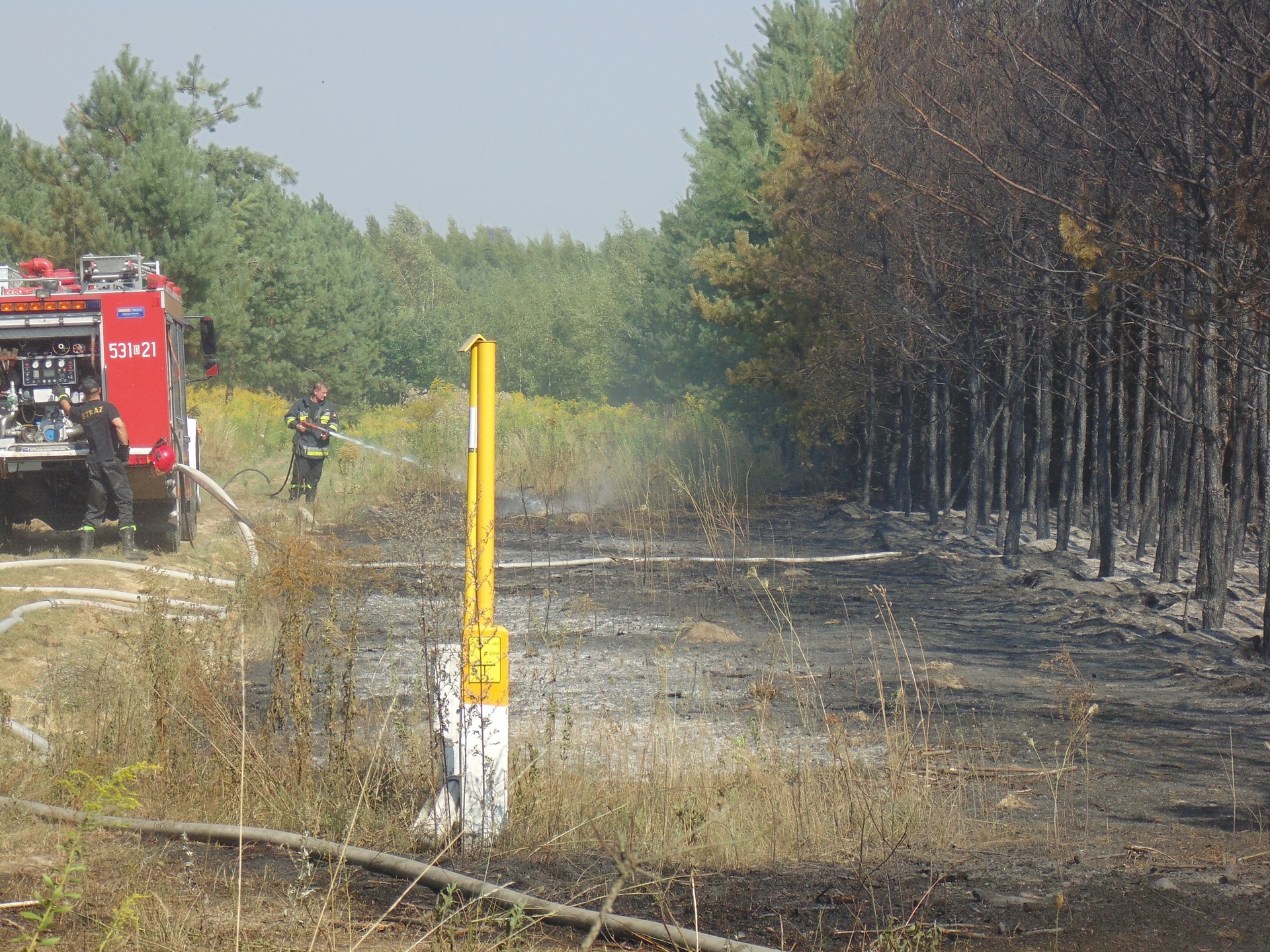ZŁOTORYJA. Policja apeluje: Nie wypalać traw!