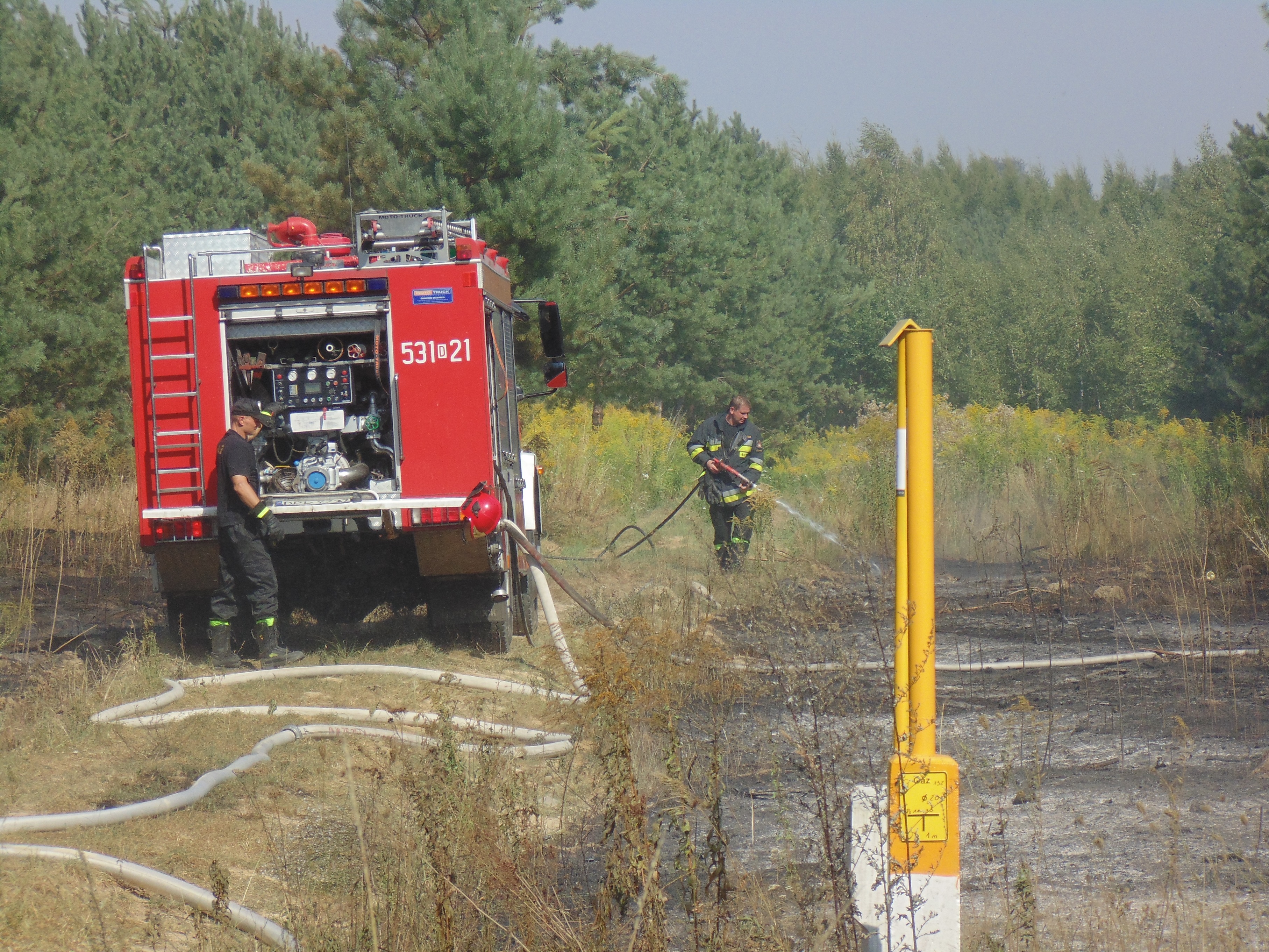 GMINA GRĘBOCICE. Pożar lasu za szybem R-XI (FOTO) AKTUALIZACJA