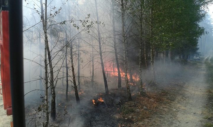 PRZEMKÓW. Koło Wilkocina znów płonął młody las