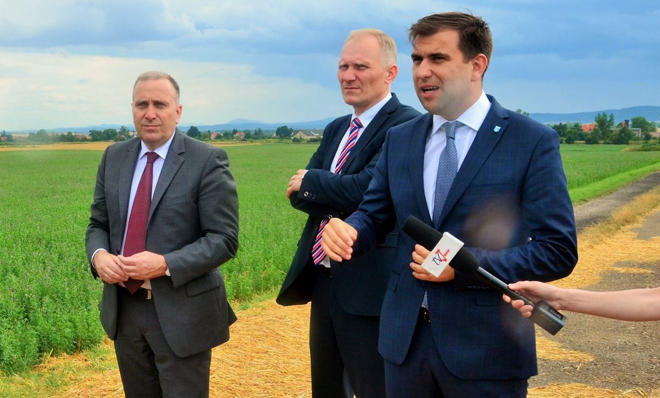 LSSE. Magnes dla firm