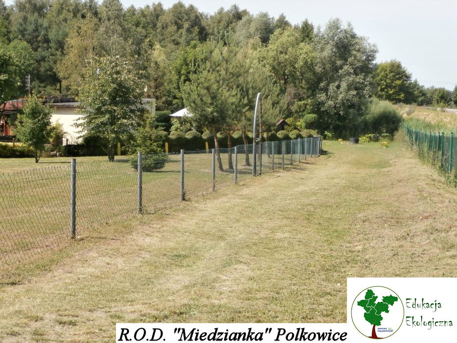 POLKOWICE. „Miedzianka” została doceniona