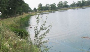 ???????????????????????????????