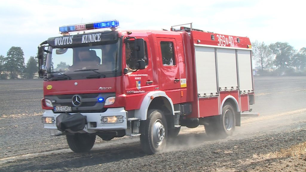 LEGNICA. Łoś spowodował wypadek na A4 (WIDEO)