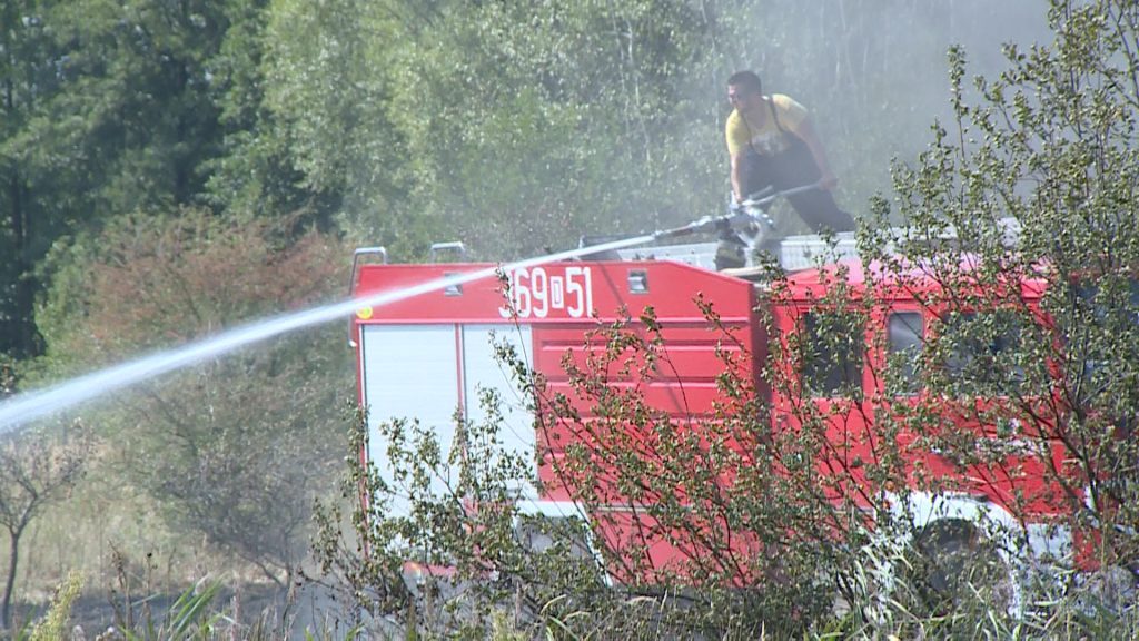 PROCHOWICE. Pożar nieużytków w Lisowicach (WIDEO)