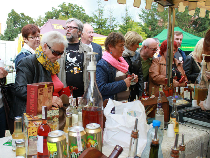 PRZEMKÓW. Tłumy odwiedziły przemkowski park (FOTO)