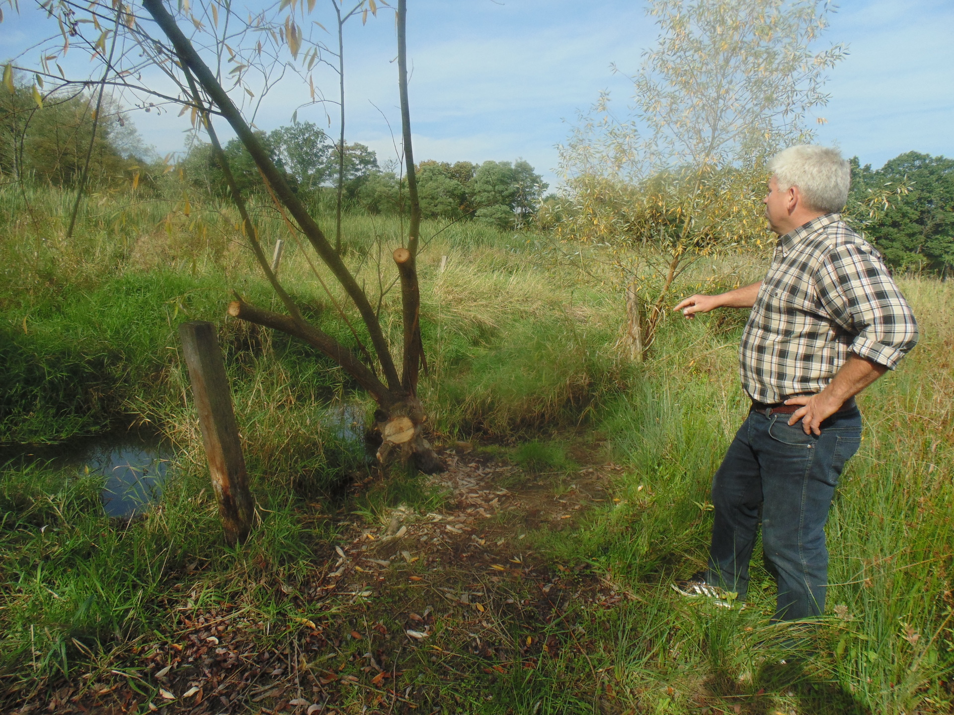 GMINA POLKOWICE. Mieszkańcy Komornik mają dość bobrów