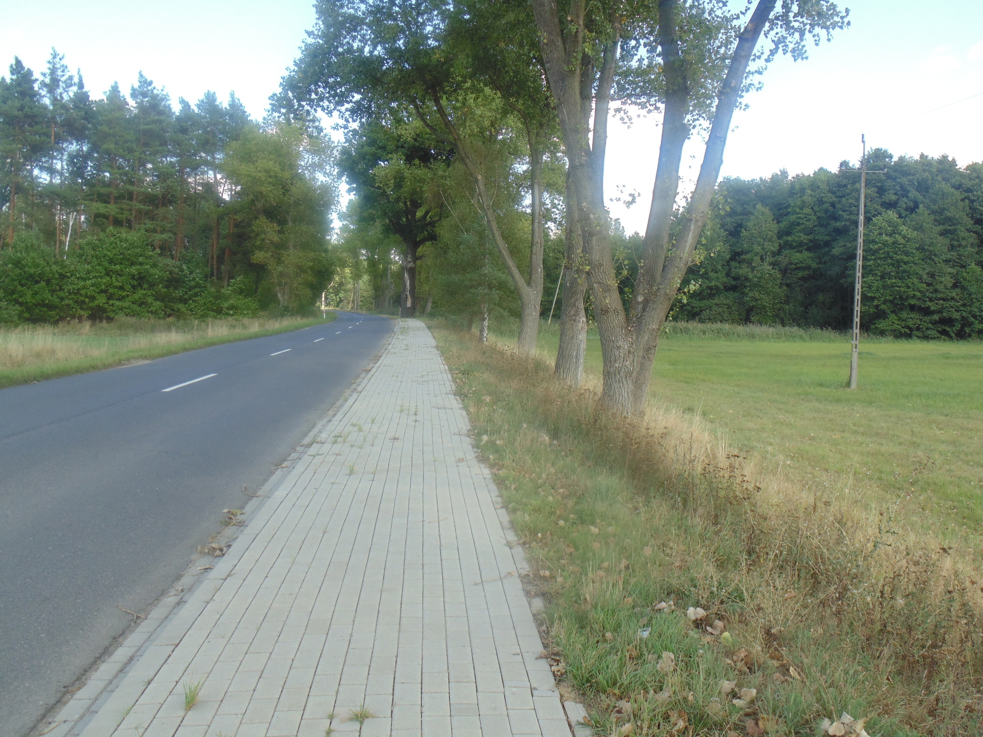 LUBIN. Budują chodniki