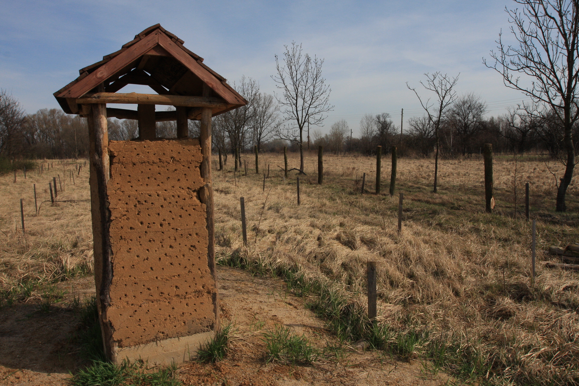 GŁOGÓW. Domki dla dzikich pszczół przy hucie