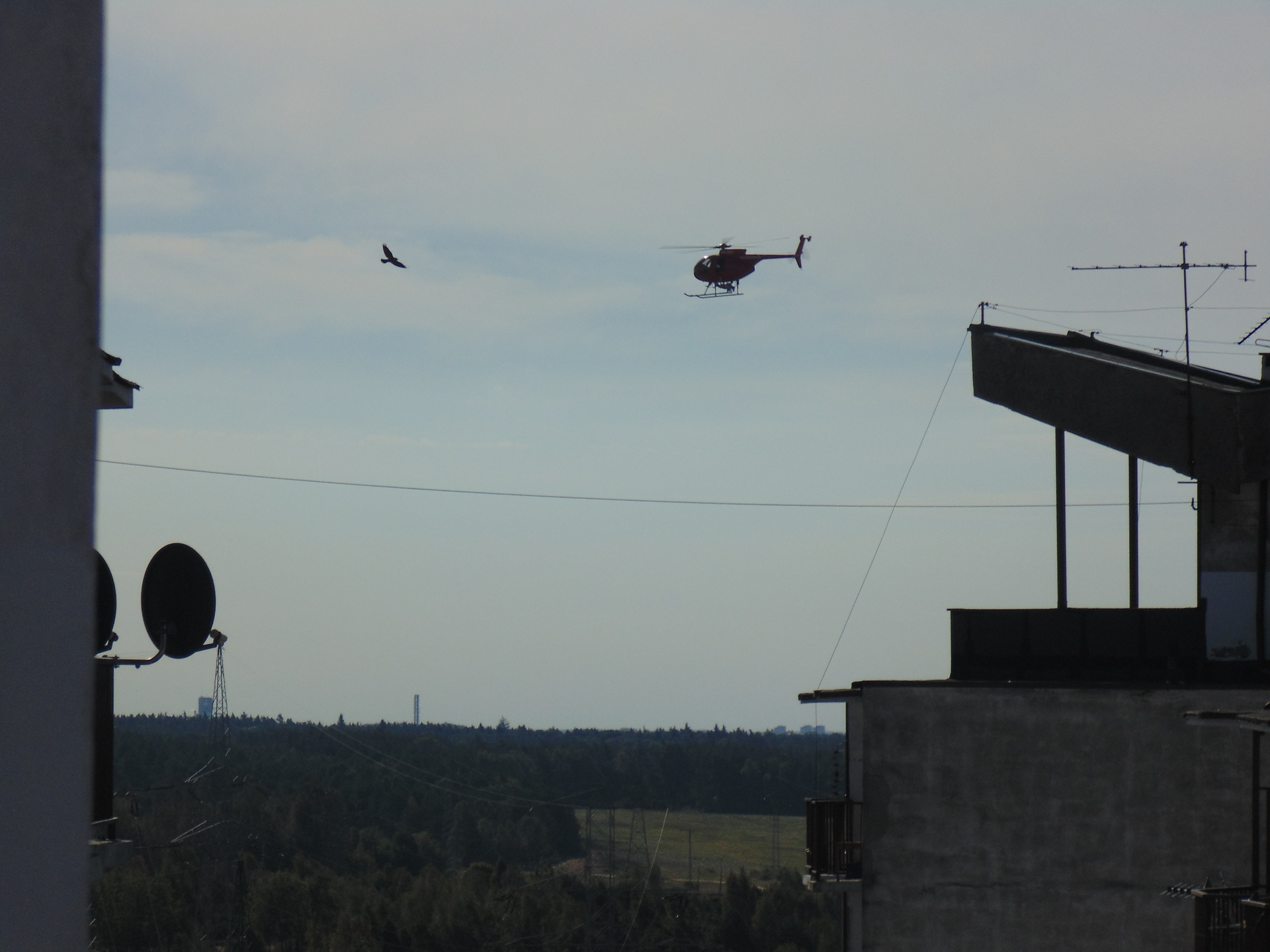 POLKOWICE. Co robił helikopter nad miastem?