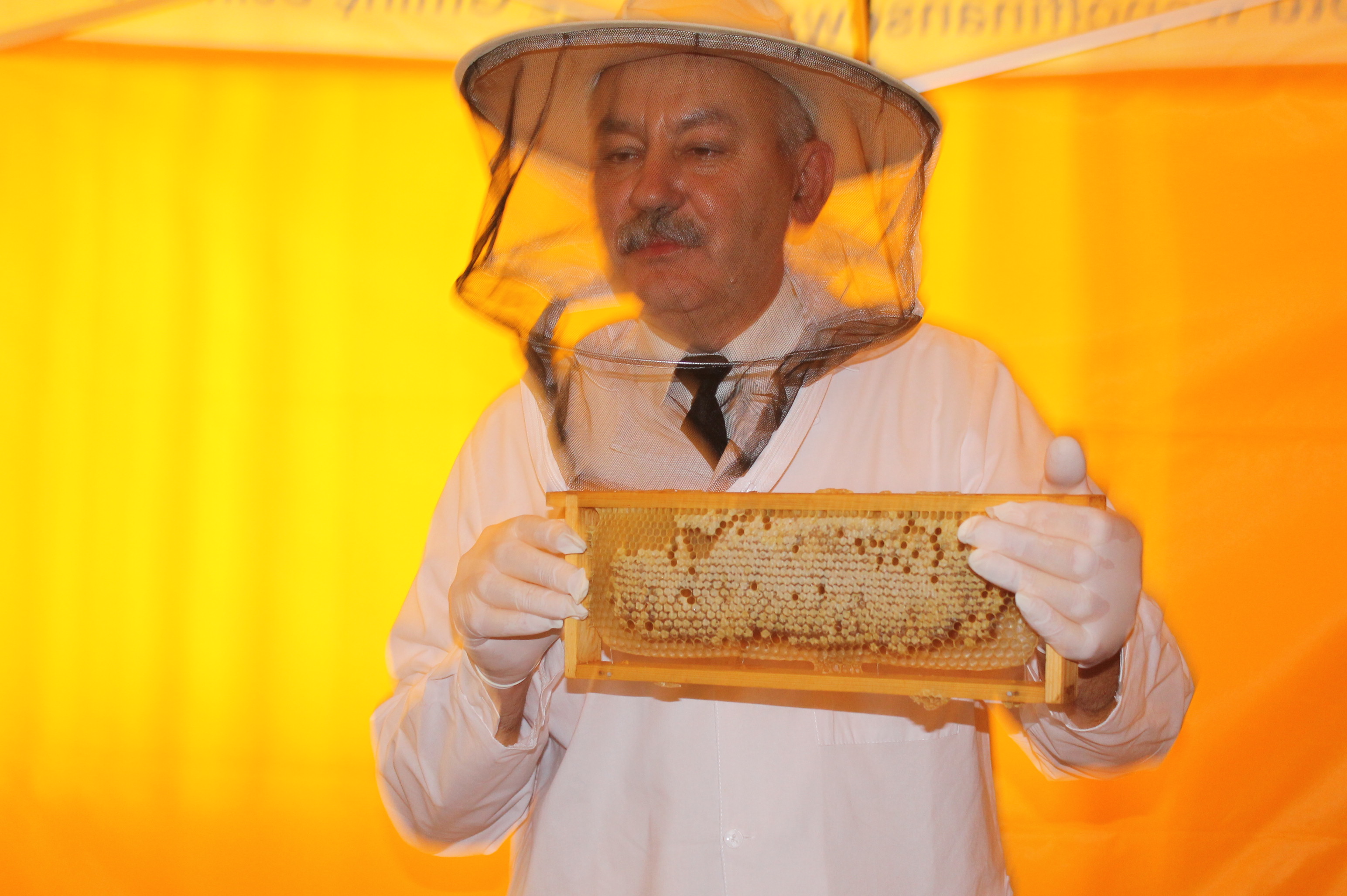 RUDNA. Słodkie święto miodu /FOTO,VIDEO/