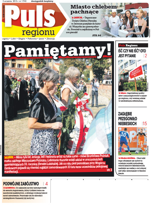 Puls Regionu 42