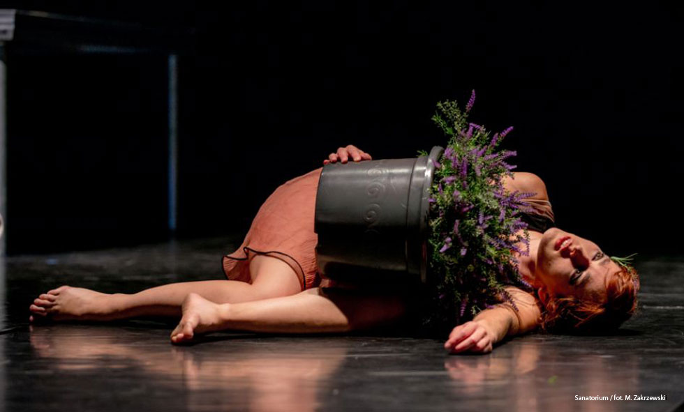 POLKOWICE. „Sanatorium” w auli