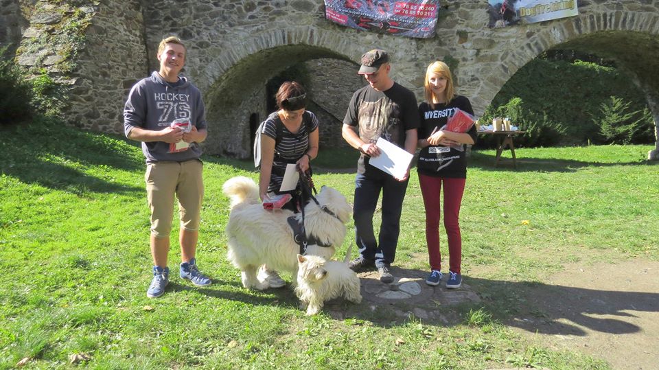 ZŁOTORYJA. Gold-DogTrekking strzałem w dziesiątkę