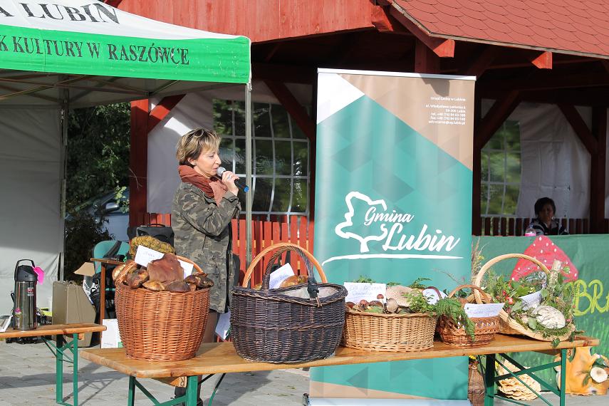 GMINA LUBIN. Są grzyby! (FOTO, VIDEO)