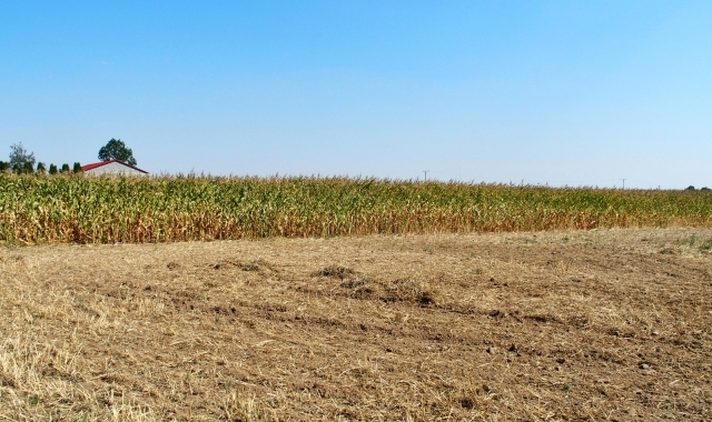 Ulga dla rolników z Legnickiego Pola?