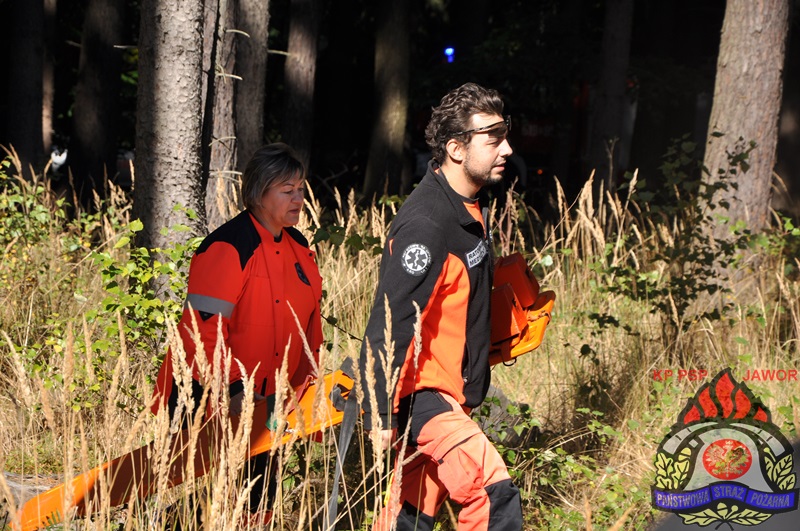 MĘCINKA. Katastrofa samolotu (FOTO)