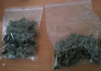 POLKOWICE. Kilkaset porcji marihuany w pokoju 20-latka